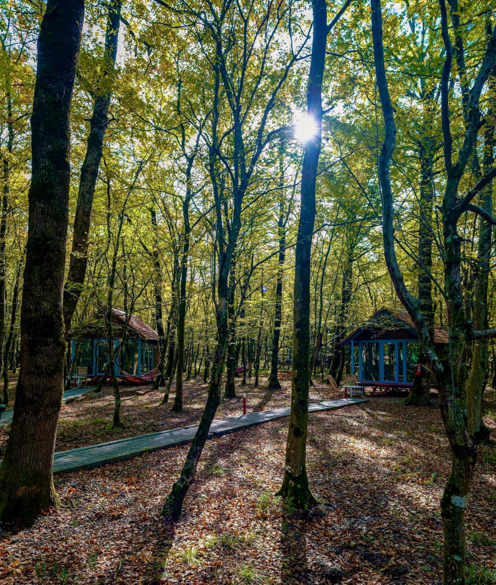 Chateau Vartsikhe Dış mekan fotoğraf