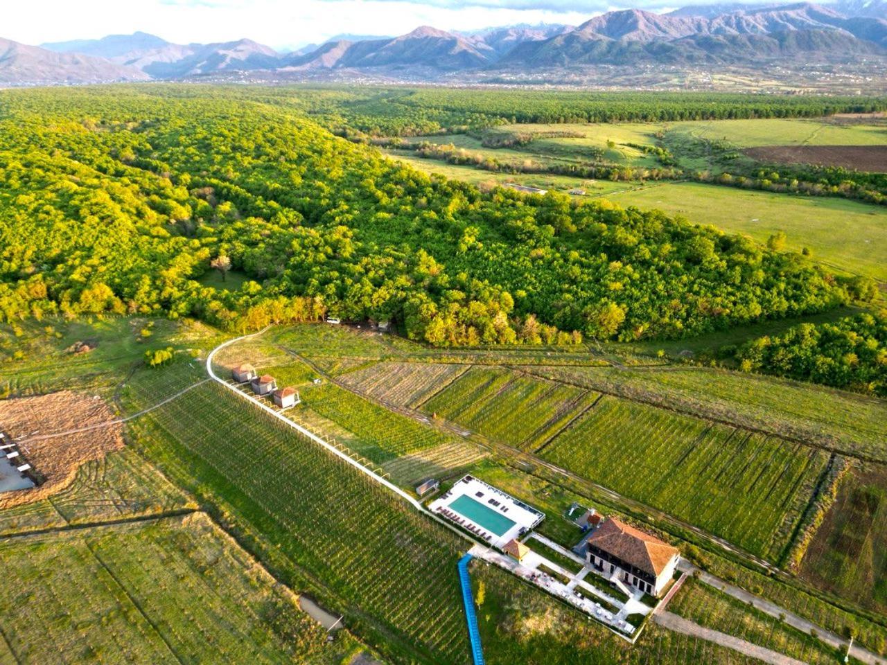 Chateau Vartsikhe Dış mekan fotoğraf