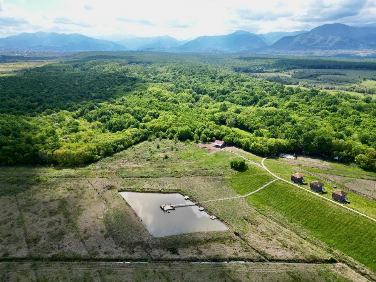 Chateau Vartsikhe Dış mekan fotoğraf