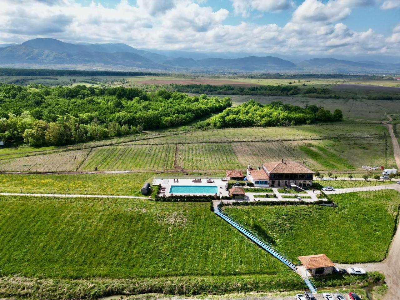 Chateau Vartsikhe Dış mekan fotoğraf