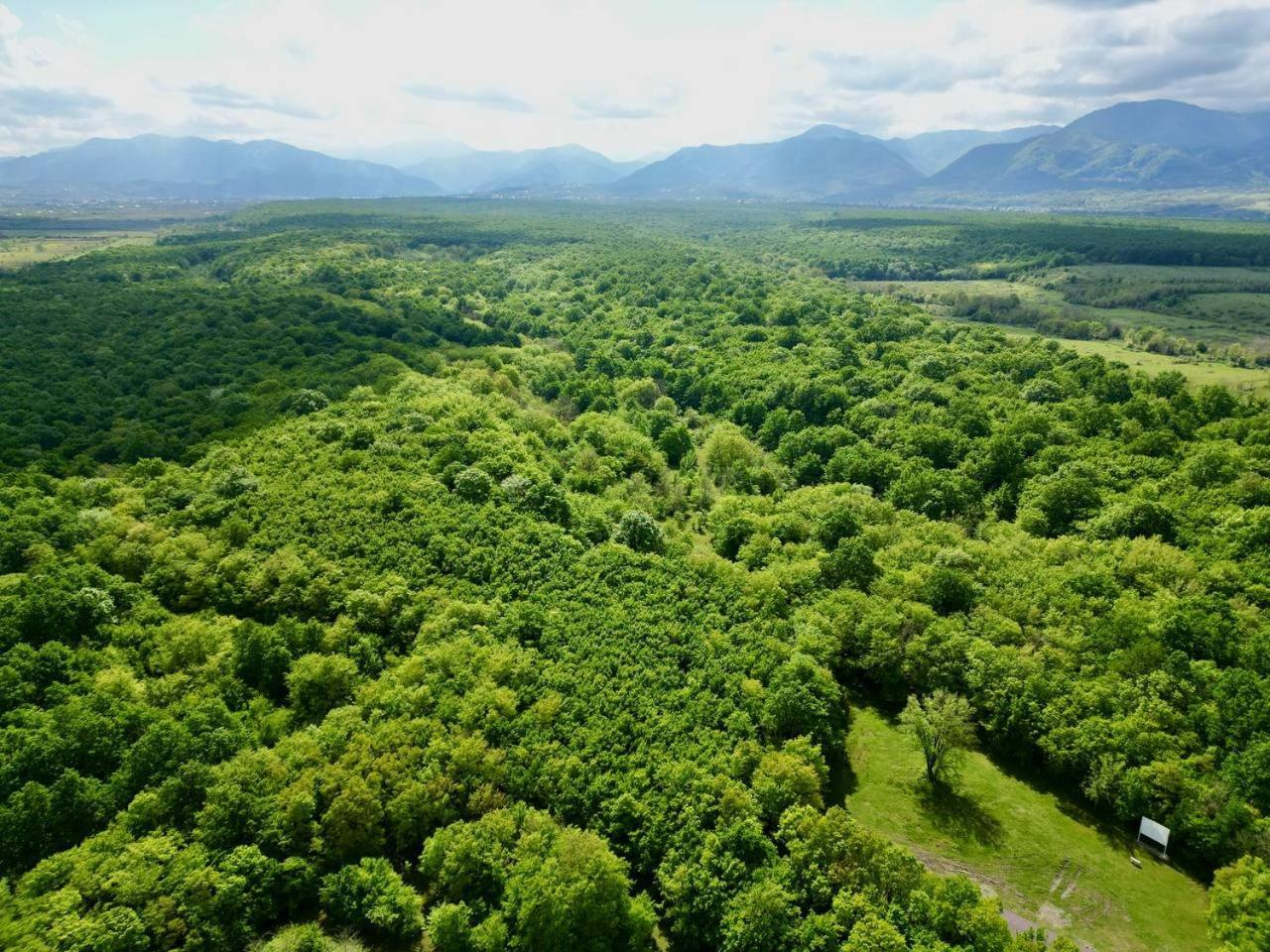 Chateau Vartsikhe Dış mekan fotoğraf